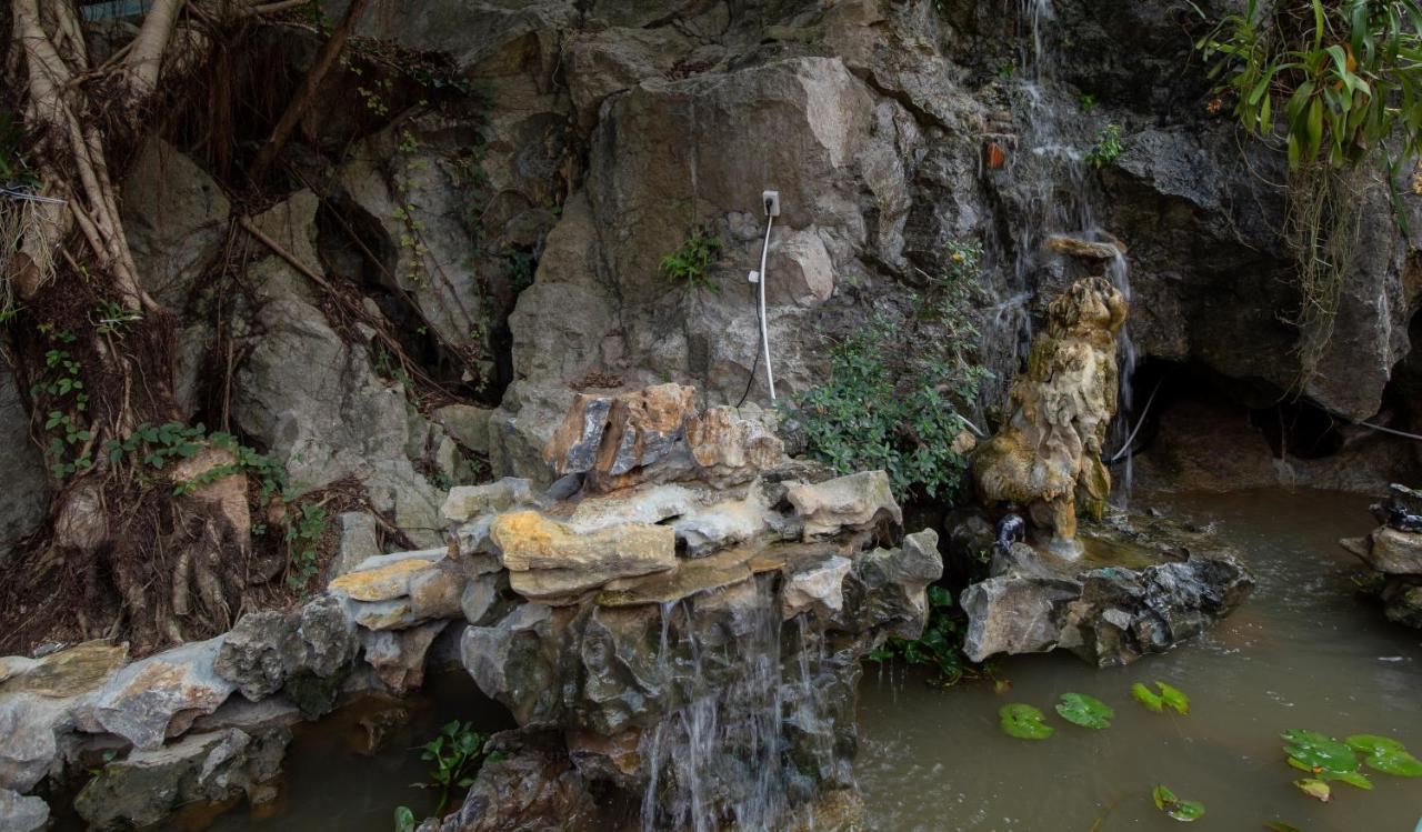 Trang An Viewpoint Homestay ニンビン エクステリア 写真